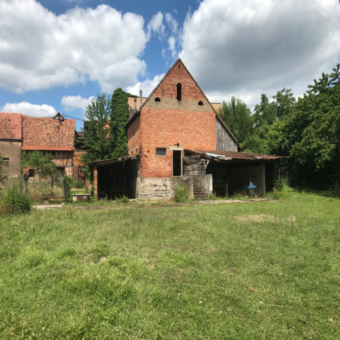 Vente Immobilier Professionnel Local d'activité Gries (67240)